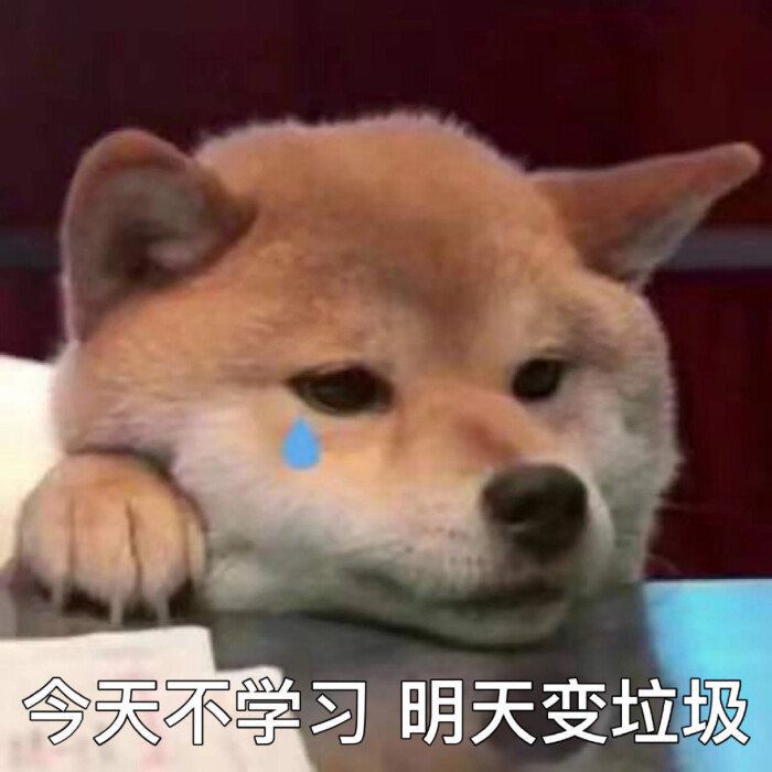 今天不学习，明天变垃圾